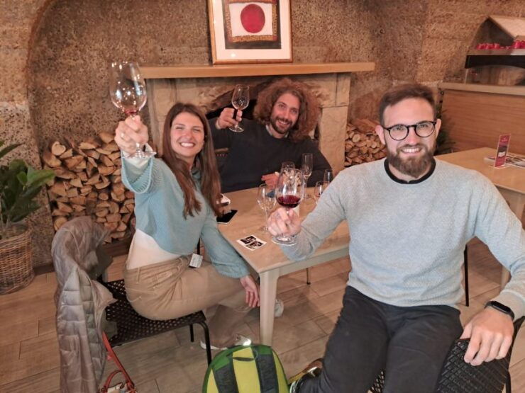 Franschhoek & Stellenbosch: Full-Day Wine Tour - Highlights