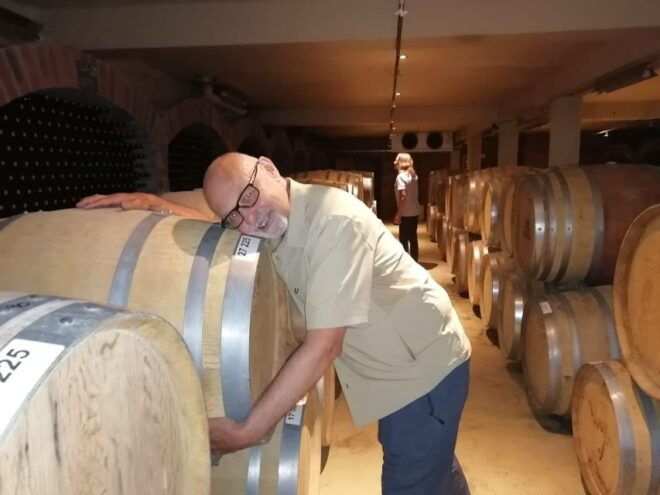 Franschhoek & Stellenbosch: Full-Day Wine Tour - Experience Description