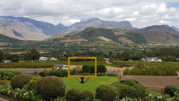 Franschhoek & Stellenbosch: Full-Day Wine Tour - Additional Information