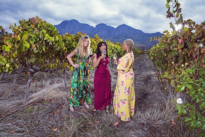 Franschhoek Wine Tram Hop-On Hop-Off Tour With Transfers From Cape Town - The Sum Up