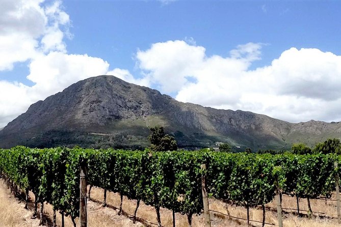 Franschhoek Winelands Luxury Ebike Tour - Good To Know