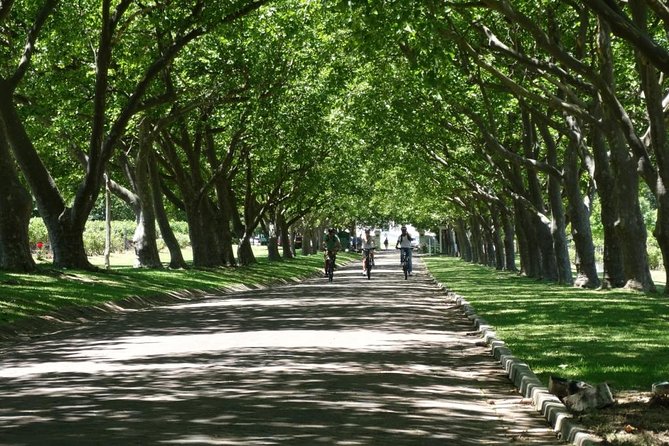 Franschhoek Winelands Luxury Ebike Tour - Traveler Photos