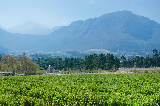 Franschhoek Winelands Luxury Ebike Tour - Questions and Product Information