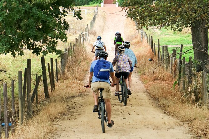 Franschhoek Winelands Luxury Ebike Tour - Common Questions