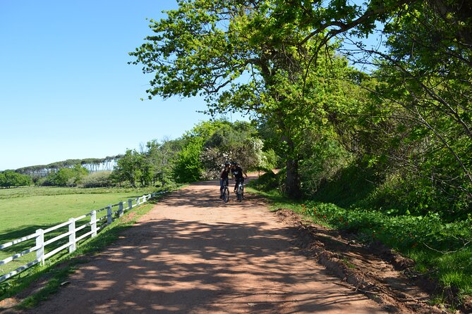 Franschhoek Winelands Meander - Cancellation Policy