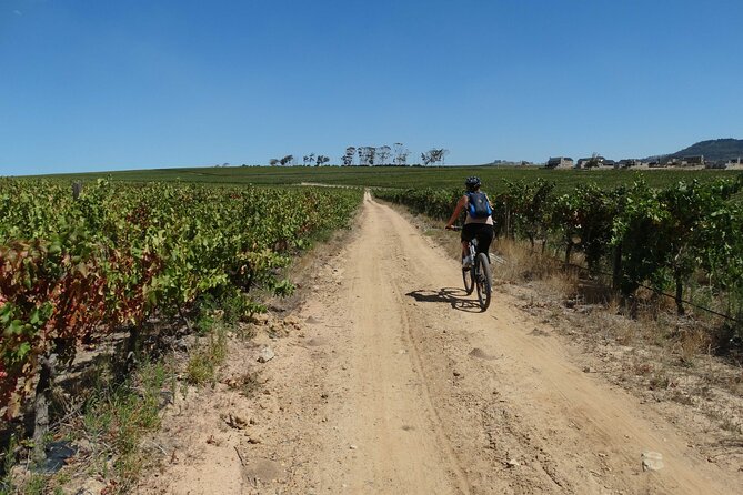 Franschhoek Winelands Meander - Traveler Reviews