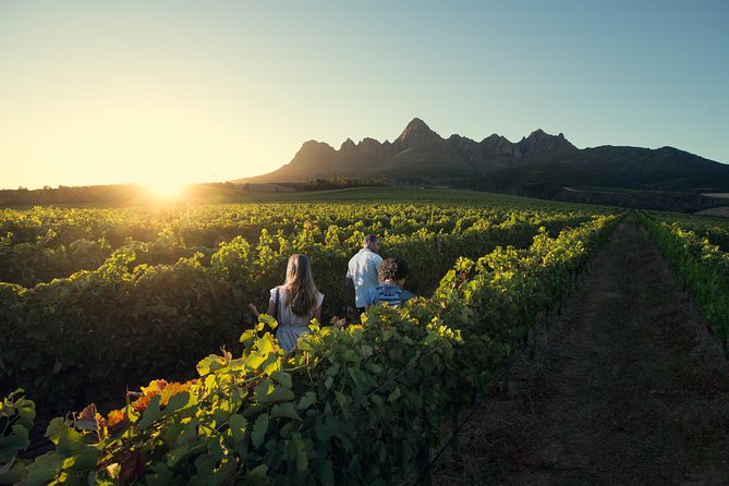Franshhoek and Stellenbosch Wine, Chocolate and Cheese  - Cape Town - Exploring Franshhoek