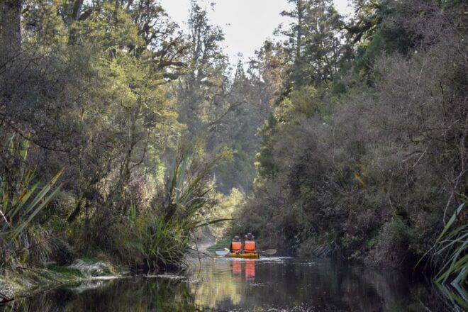 Franz Josef: 3-Hour Kayak Tour on Lake Mapourika - Okarito Kiwi Sanctuary and Rainforest Exploration
