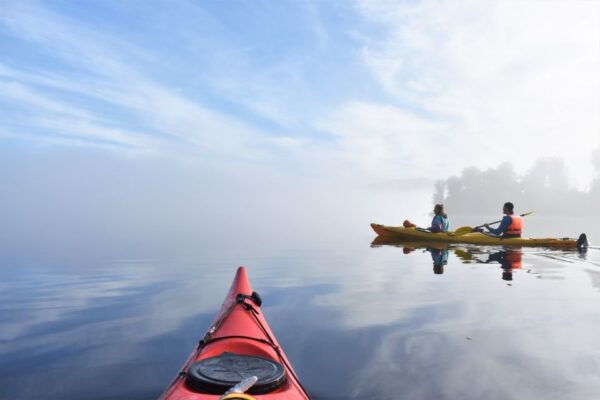 Franz Josef: 3-Hour Kayak Tour on Lake Mapourika - Additional Adventure Options in Franz Josef