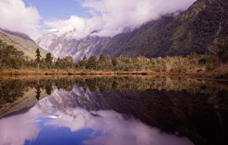 Franz Josef: Franz Josef Glacier Lookout Guided Walk - Good To Know