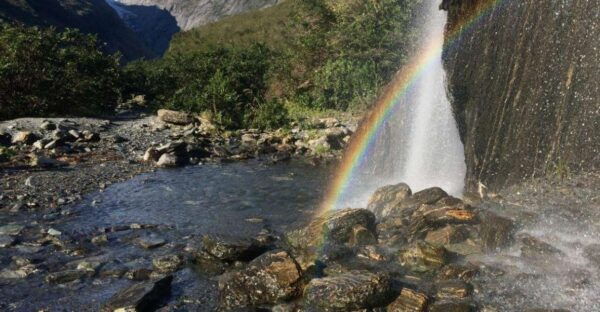 Franz Josef: Franz Josef Glacier Lookout Guided Walk - Related Activities