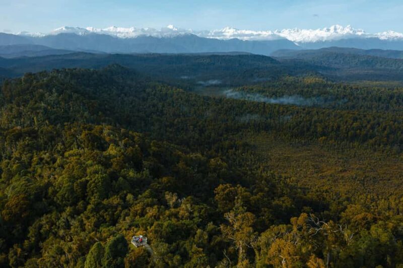 Franz Josef: Half-Day Guided Tour to Okarito - Why This Tour Is Worth Considering