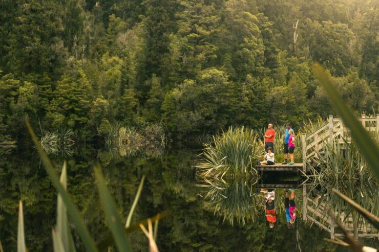 Franz Josef: Half-Day Nature Tour to Lake Matheson - Experience Highlights