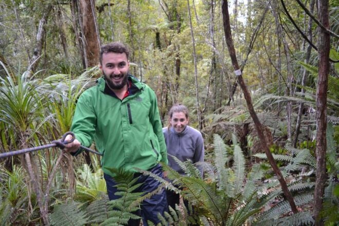 Franz Josef: Kayak & Walking Tour to Okarito Kiwi Sanctuary - Customer Reviews and Feedback