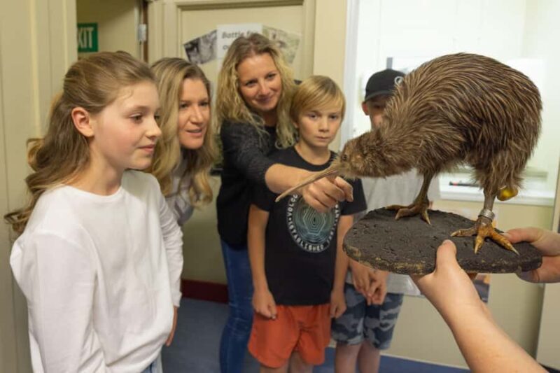 Franz Josef: Kiwi VIP Backstage Pass Tour -Booking Essential - Franz Josef: Kiwi VIP Backstage Pass Tour - Booking Essential