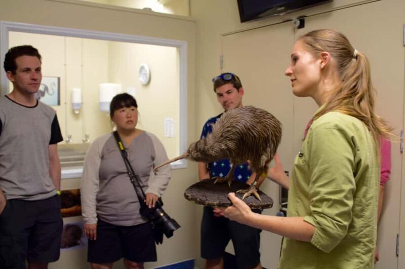 Franz Josef: Kiwi VIP Backstage Pass Tour -Booking Essential - Final Thoughts: Who Will Love This Tour?