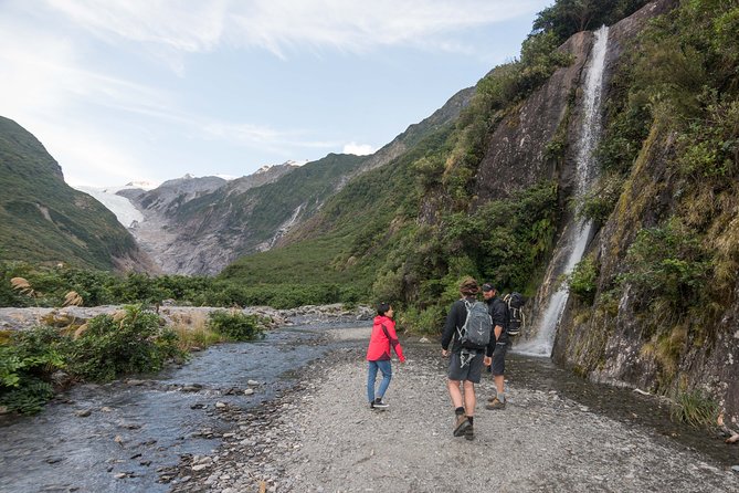 Franz Josef Nature Tour - Duration and Admission