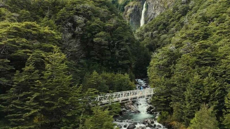Franz Josef to Christchurch via Hokitika 1 Way Day Tour - Who Is This Tour Best For?