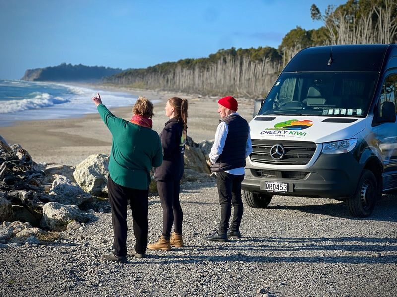 Franz Josef to Queenstown via Wanaka Day Tour - A one-way trip that turns transfer time into sightseeing
