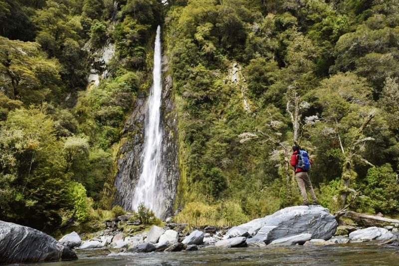 Franz Josef to Queenstown via Wanaka Day Tour - Who should book this South Island day tour?