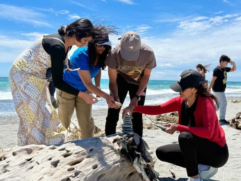 Franz Josef: to Wanaka Small Group 1 Way Tour with Lunch - Good To Know