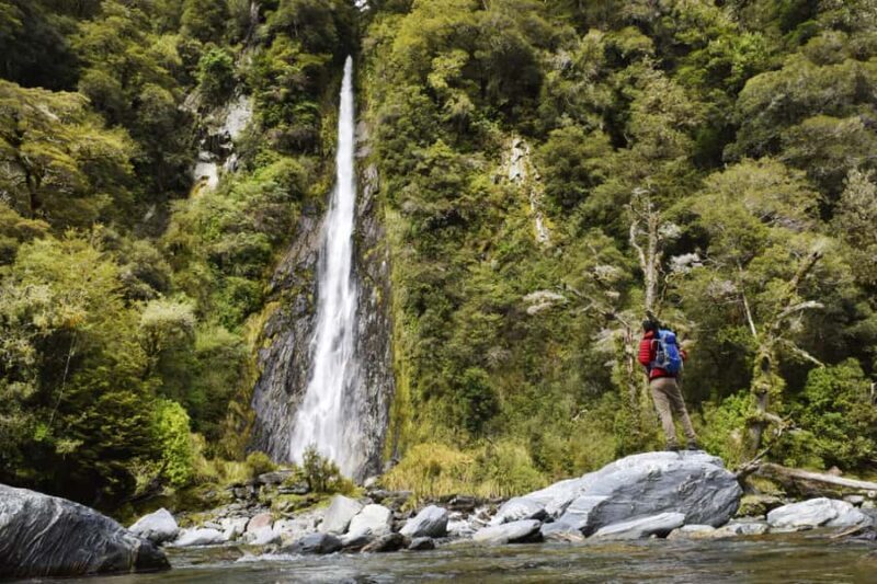 Franz Josef: to Wanaka Small Group 1 Way Tour with Lunch - Why This Tour Offers Great Value