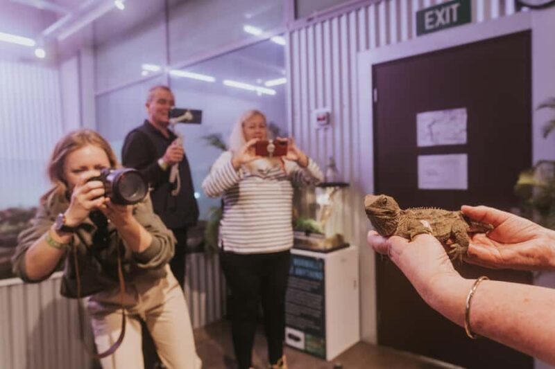 Franz Josef: West Coast Wildlife Centre Entry Ticket -48 hrs - The Value of This Experience