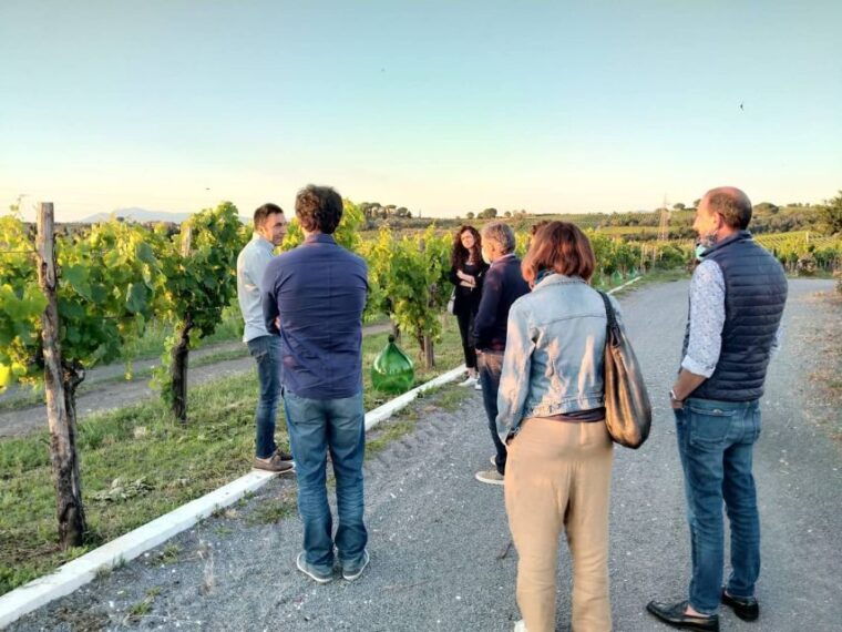 Frascati: 2-Hours Wine and Oil Tasting With Vineyards Tour - Exploring Local Wine Varieties