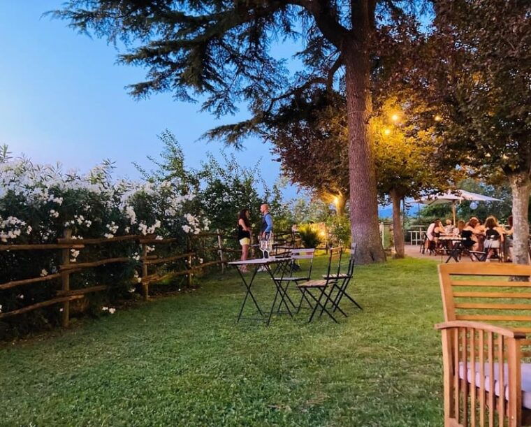 Frascati: 2-Hours Wine and Oil Tasting With Vineyards Tour - Pairing Wines With Local Delicacies