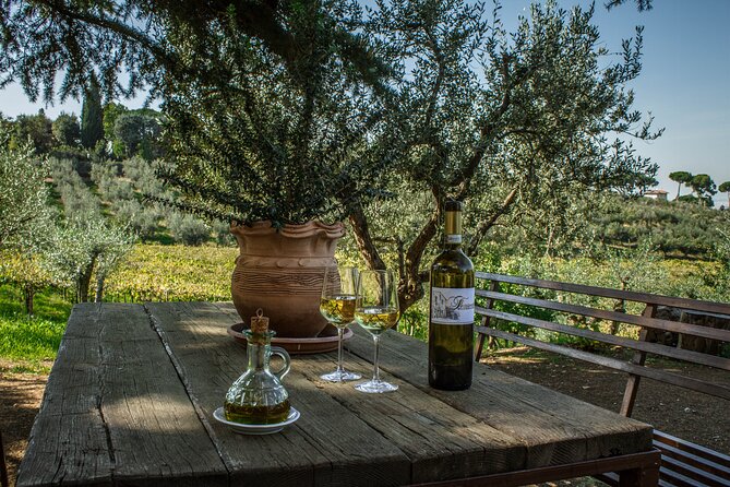 Frascati Food Tour and Winery Visit  - Rome - Traveler Photos and Reviews