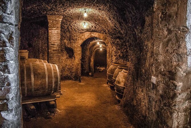 Frascati Food Tour and Winery Visit  - Rome - The Sum Up