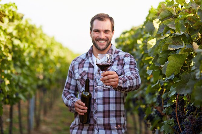 Frascati Private Day Trip - Lunch, Wine & Cheese Tasting in an Ancient Vineyard - Winery Tour