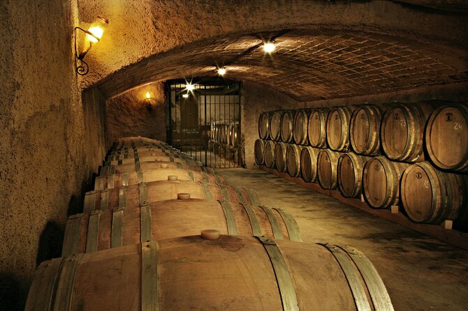 Frascati Private Day Trip - Lunch, Wine & Cheese Tasting in an Ancient Vineyard - Cancellation Policy
