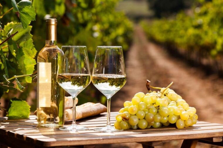 Frascati Private Tour w/ Lunch & Wine Tasting in a Vineyard - Final Thoughts: Is It Worth It?