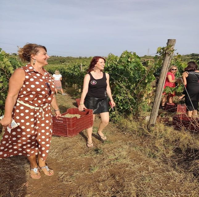 Frascati Vineyard's Guided Tour With Wine Tasting - Experience Roman Wine History