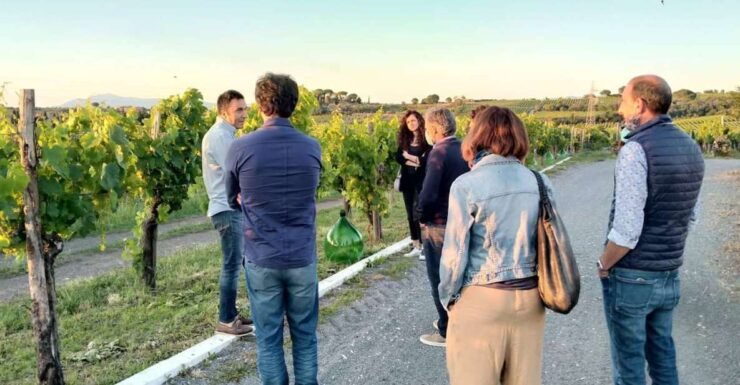 Frascati Vineyard's Guided Tour With Wine Tasting - Vineyard Exploration and Tasting