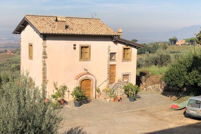 Frascati Wine Road From Rome: Tasting & Lunch - Positive Reviews of the Winery Tour