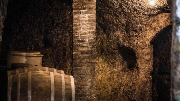 Frascati Wine Road From Rome: Tasting & Lunch - Common Questions