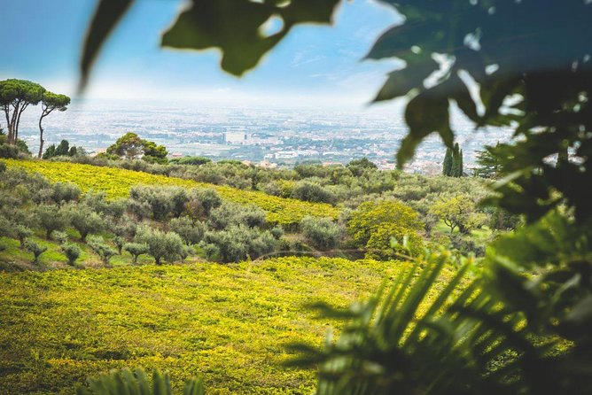 Frascati Wine Tasting Tour: The Flavors of the Roman Countryside - Traveler Photos and Reviews
