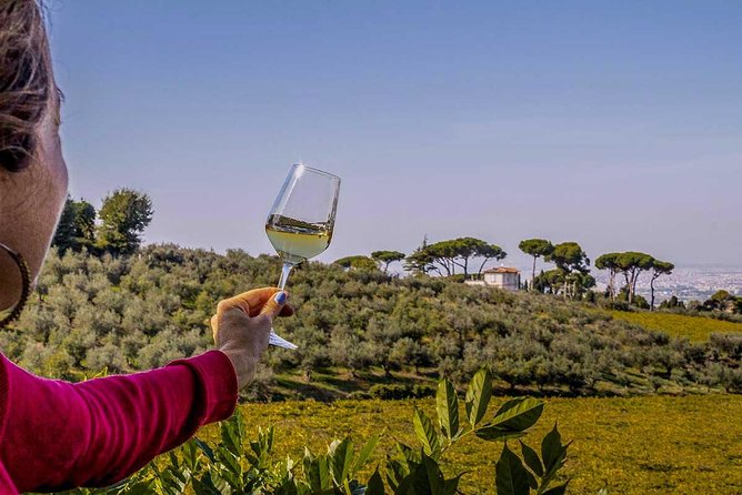 Frascati Wine Tasting Tour: The Flavors of the Roman Countryside - The Sum Up: Indulge in the Flavors of Frascati