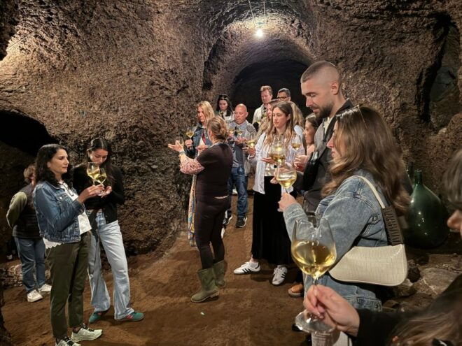 Frascati: Wine Tasting Tour With Lunch and Vineyard Visit - Itinerary