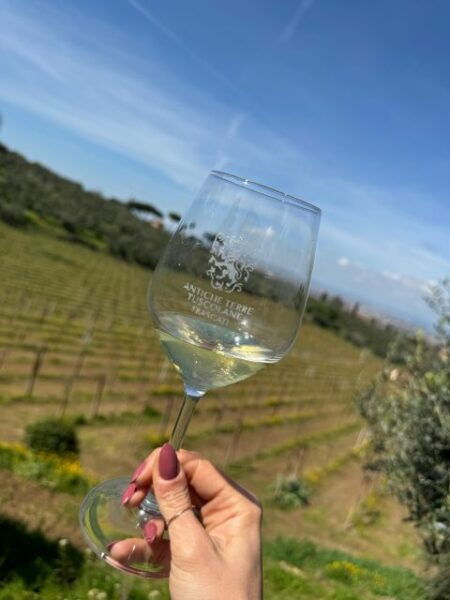 Frascati: Wine Tasting Tour With Lunch and Vineyard Visit - The Sum Up