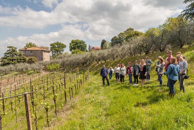 Frascati Wine Tour Experience With Lunch in Small Group by Minivan From Rome - Inclusions and Itinerary