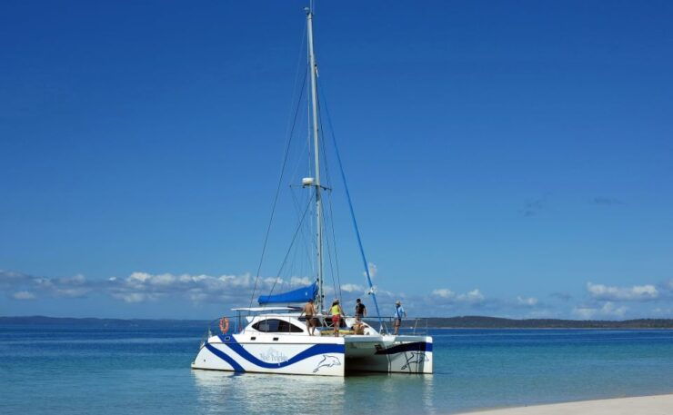 Fraser Island 4-Hour Eco-Sailing Adventure - Experience Highlights