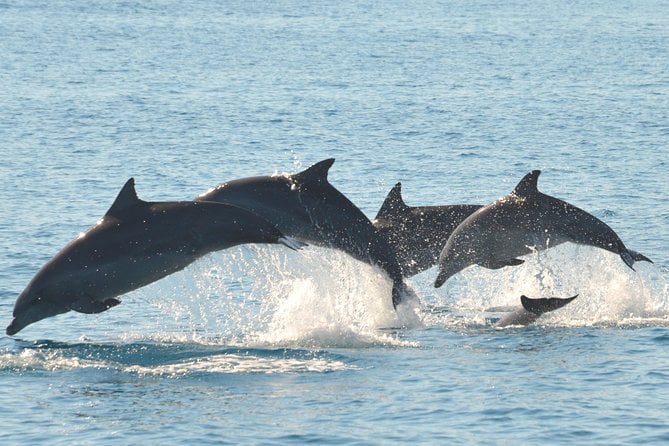 Fraser Island & Dolphin Sailing Adventure - Pickup and Parking Information