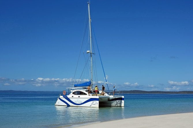 Fraser Island & Dolphin Sailing Adventure - Dolphin and Marine Life Spotting