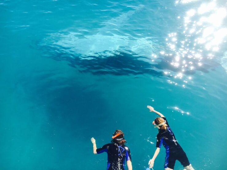 Fraser Island (K'gari): Remote Island and Whale Experience - Booking Details