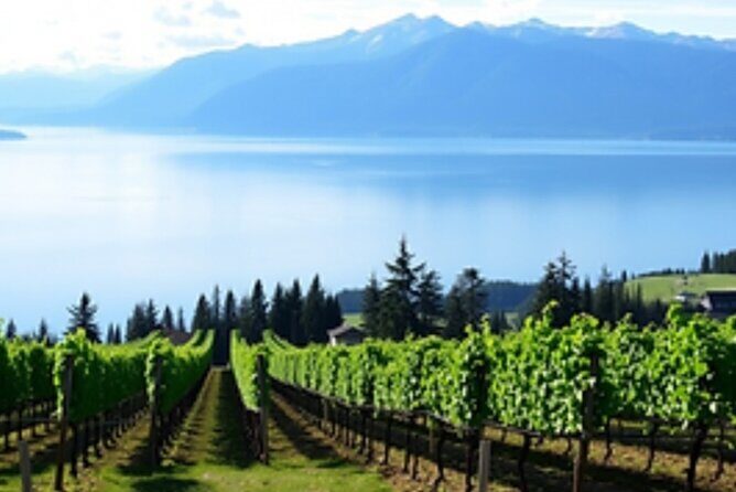 Fraser Valley Wine Escape Full Day Tour from Vancouver - A Detailed Look at the Fraser Valley Wine Escape