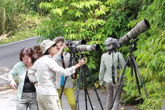 Frasers Hill Bird-Watching & Nature Sightseeing Tour From Kuala Lumpur - Location and Reviews