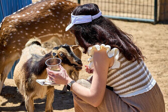 Fredericksburg Safari Tour Without Wine Tasting - An In-Depth Look at the Fredericksburg Safari Tour
